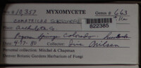 Image Associated With the Occurence